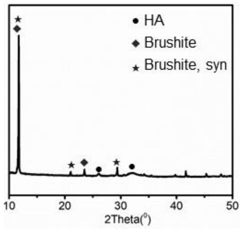 Double-phase calcium phosphate material and toothpaste containing same