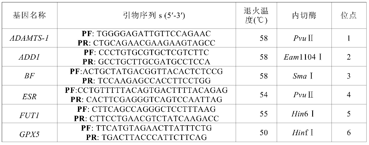 SNP molecular markers for traceability on pig chromosome 6 and its application