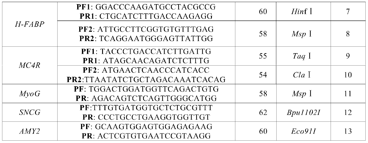 SNP molecular markers for traceability on pig chromosome 6 and its application