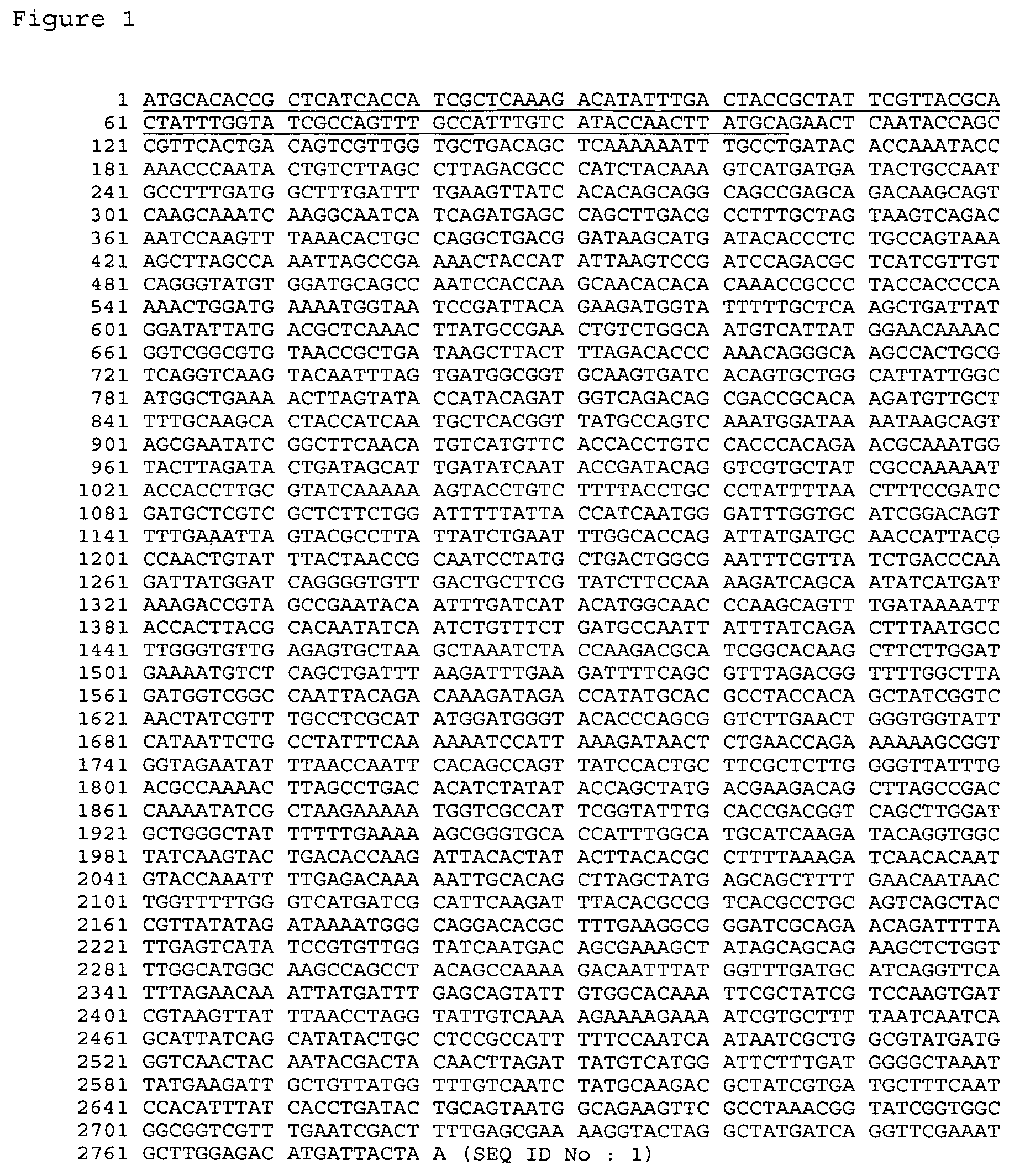 Moraxella (Branhamella) catarrhalis polypeptides and corresponding DNA fragments