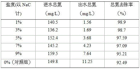 Rhodococcus erythropolis LH-N13 as well as microbial agent and use thereof