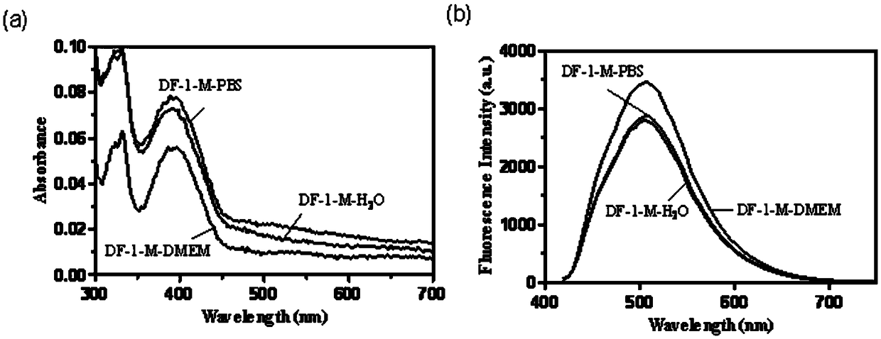 Thermally activated delayed fluorescence (TADF) nanoprobe and preparation method and application thereof in bioimaging