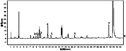 UPLC characteristic chromatogram construction method and identification method of rhizoma cibotii medicinal material and scalded rhizoma cibotii medicinal material