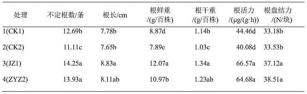 Organic ecological substrate for rice industrialized seedling production and preparation method of organic ecological substrate
