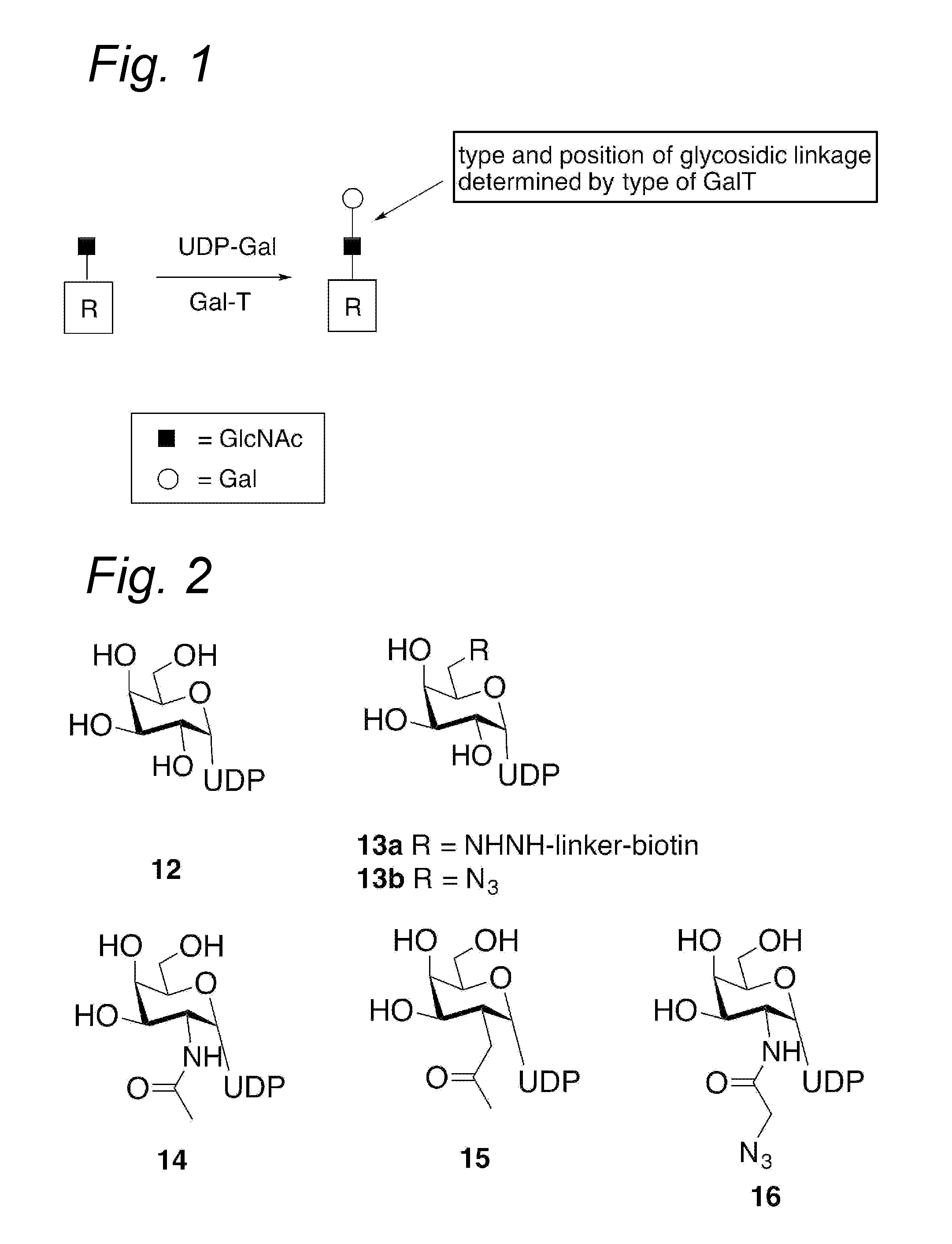 Process for the attachment of a galnac moiety comprising a (hetero)aryl group to a glcnac moiety, and product obtained thereby