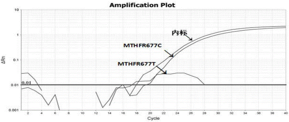 Human MTHFR and MTRR gene polymorphism detection primer, probe, test kit and method