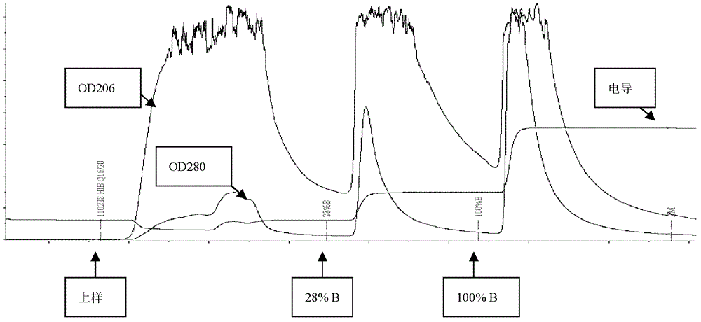 PRP ribose extraction method