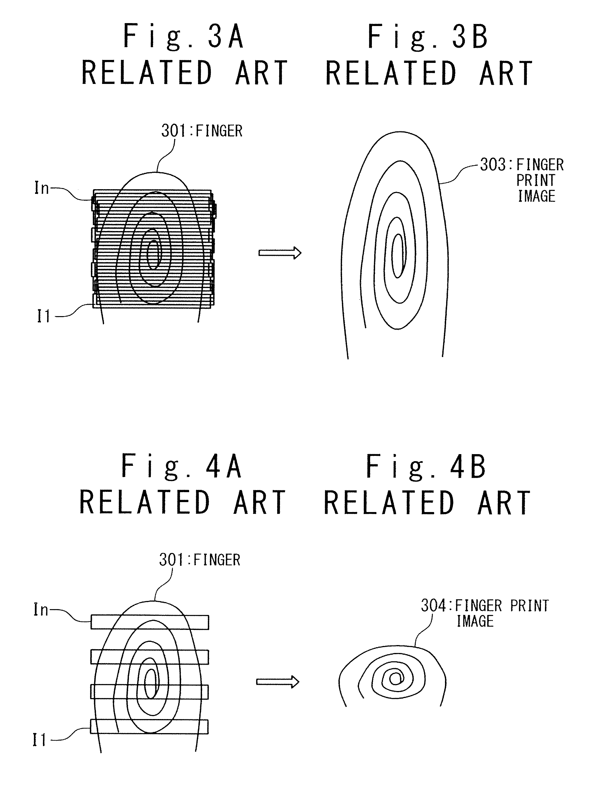 Apparatus for inputting biometrical feature
