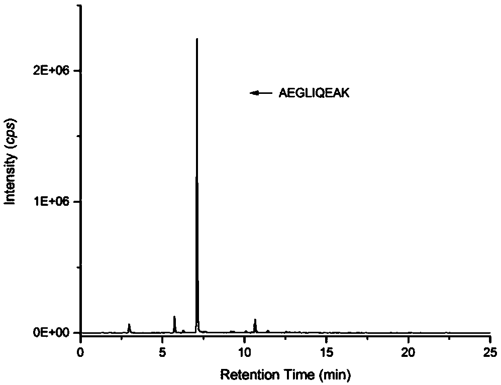 Method for identifying penaeidae by utilizing special peptide segment group