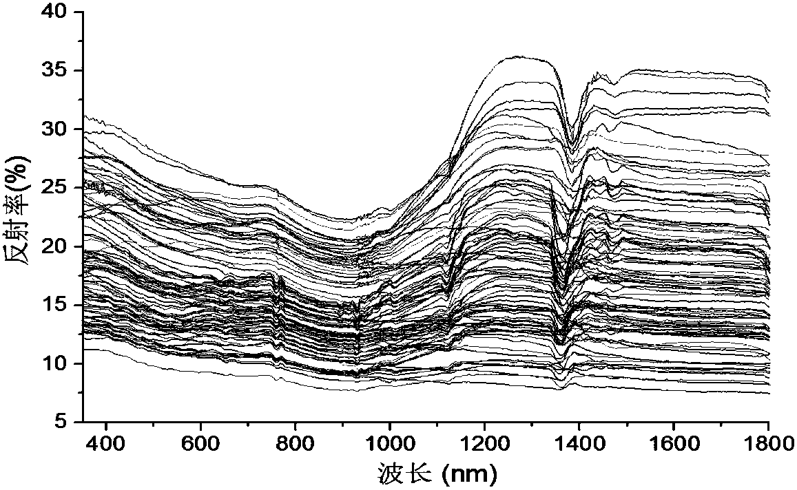 Anshan type iron ore type determining method based on spectral features