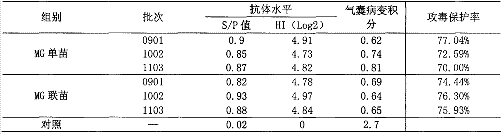 Efficacy test method of mycoplasma gallisepticum inactivated vaccine and application thereof