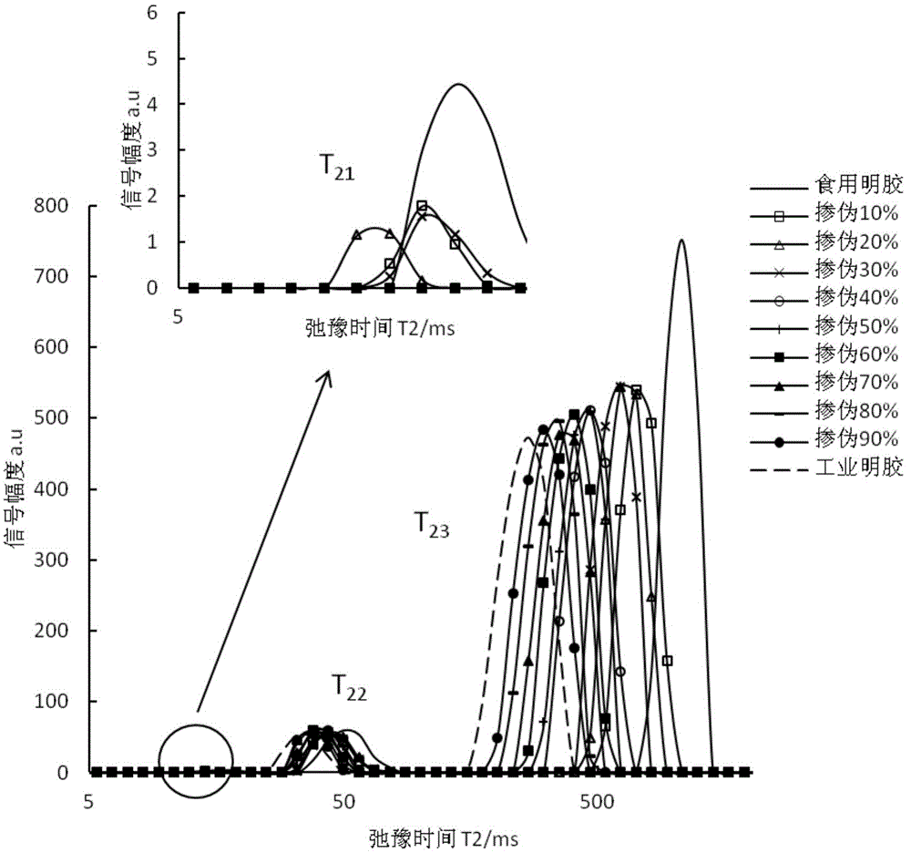 Low field nuclear magnetic resonance detection method of edible gelatin quality