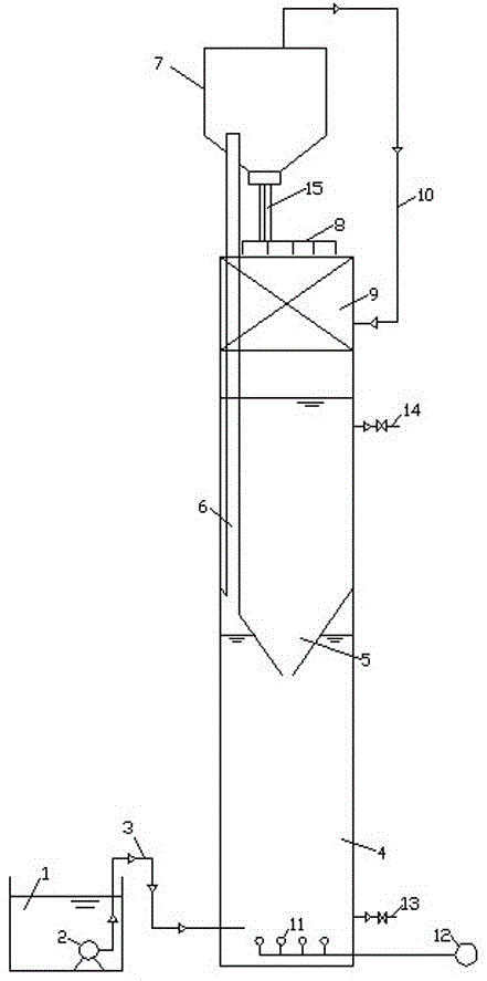 An aerobic granular sludge reaction tank-biofilm sewage treatment system