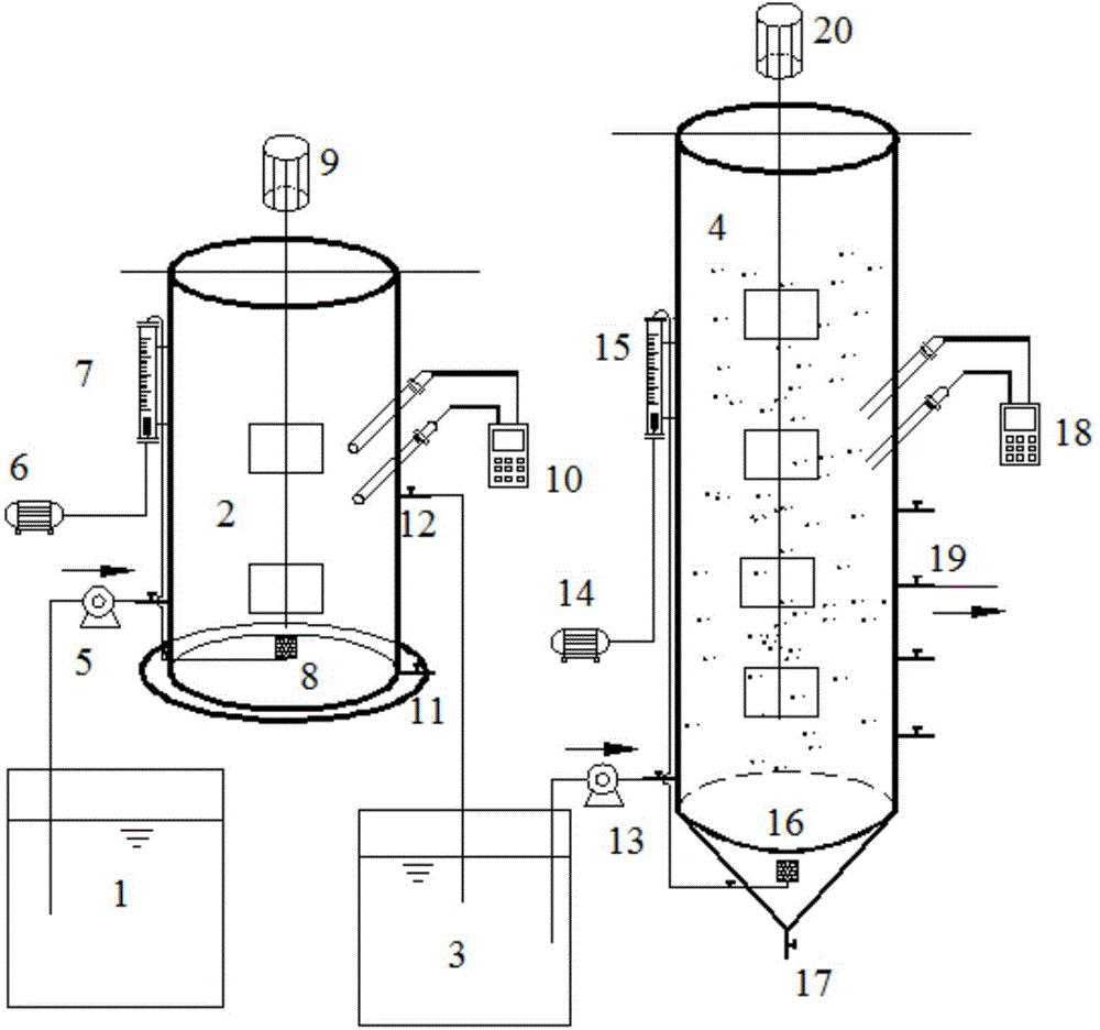 Method used for realizing whole-course autotrophic nitrogen removing via anaerobic ammonium oxidation immobilization