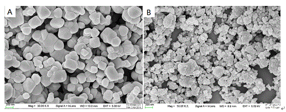 Method for preparing nitrogen-carbon co-coated lithium titanate anode material