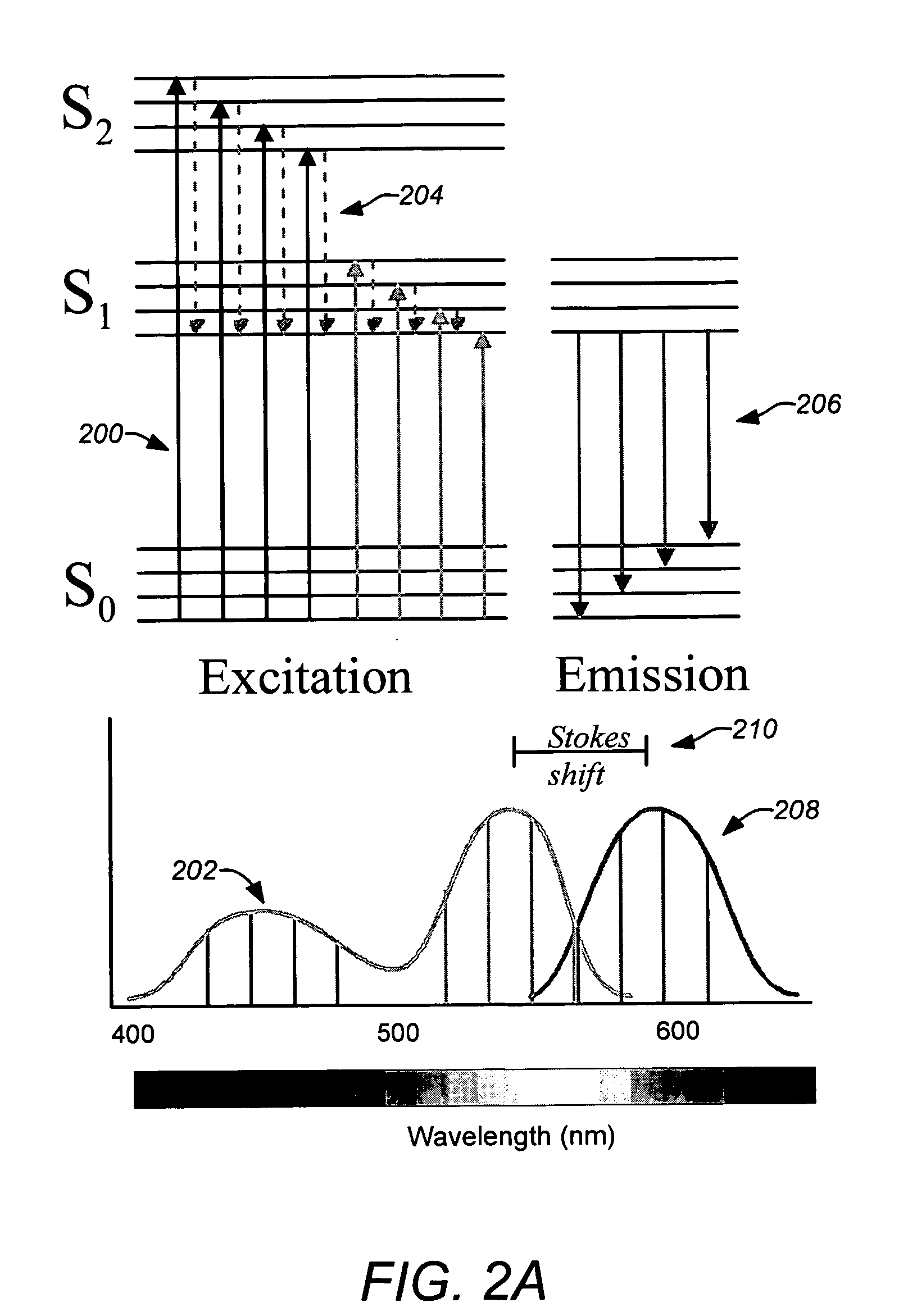 Multiple-label fluorescence imaging using excitation-emisssion matrices