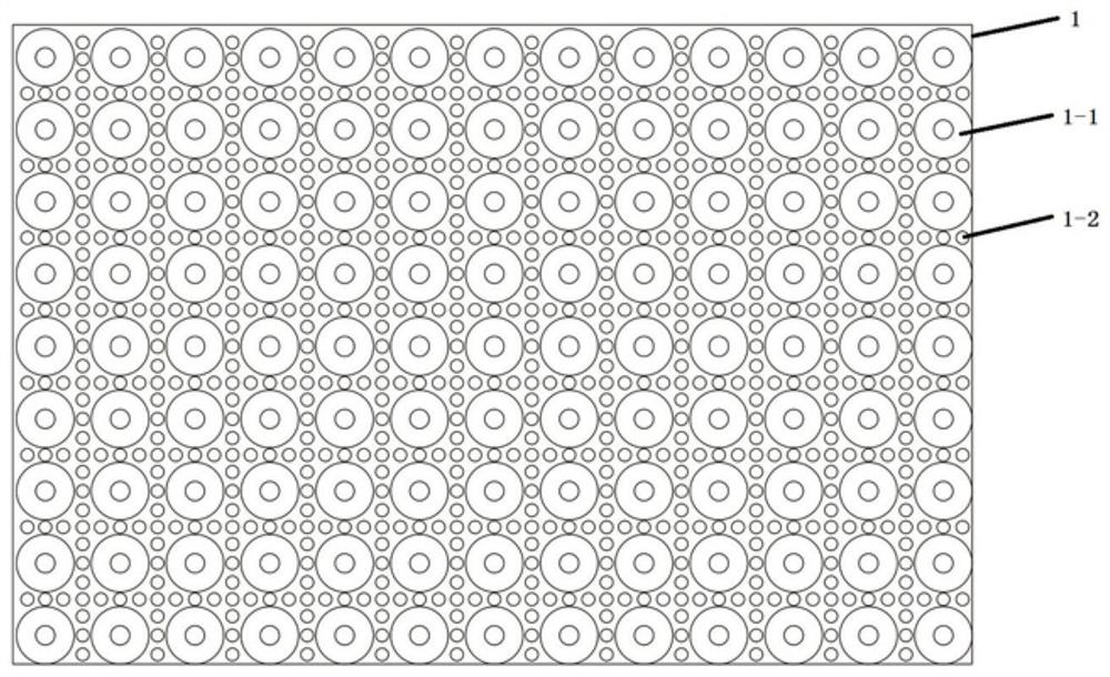 Ball bead supporting bridging sample anti-blocking drainage device for vacuum sealing drainage