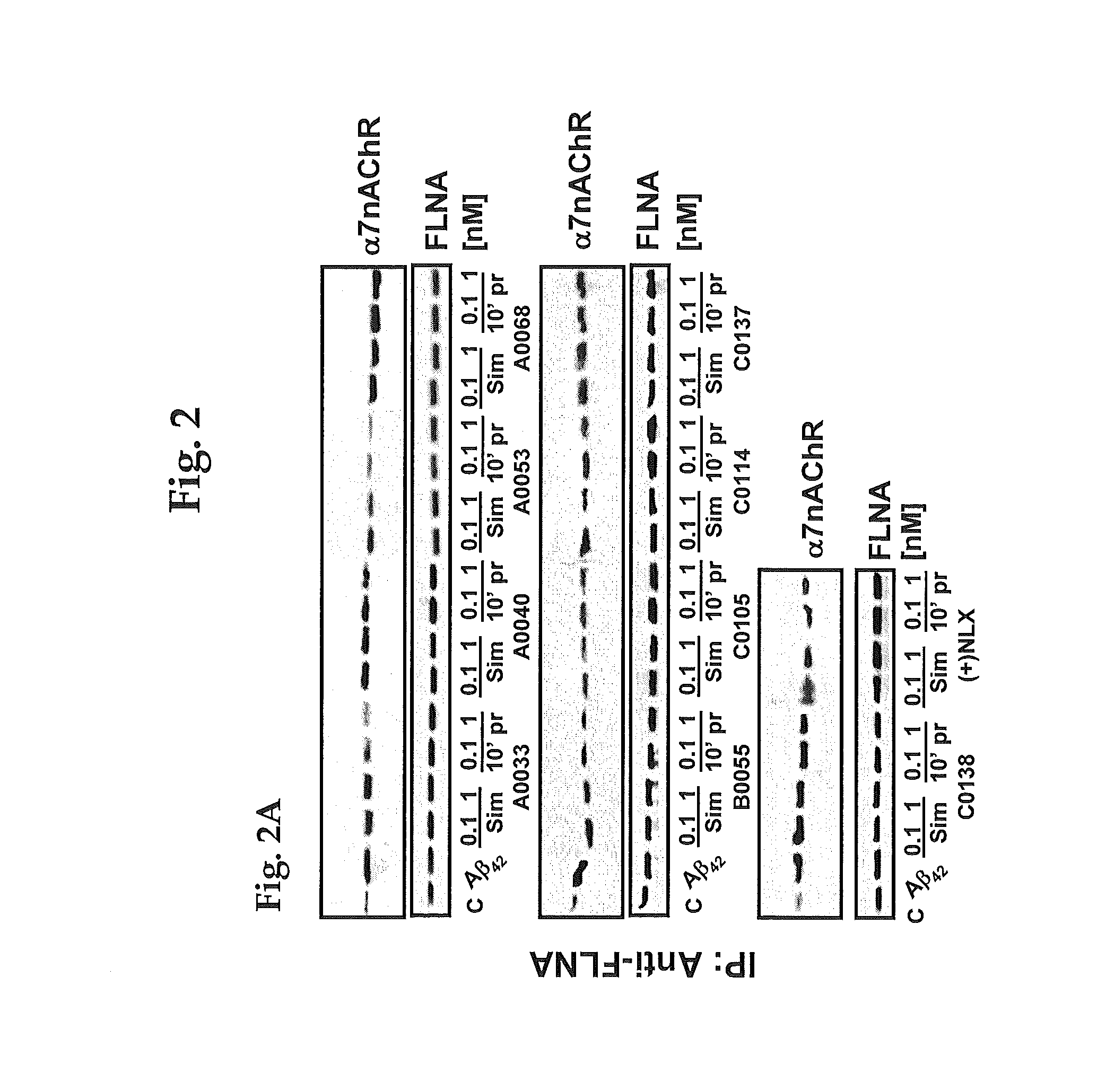 Method of inhibiting tau phosphorylation