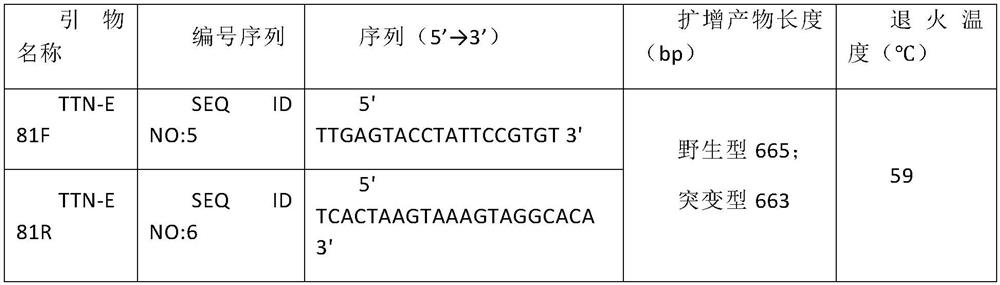 New Mutant Proteins and New Mutant Genes Associated with Dilated Cardiomyopathy and Their Applications