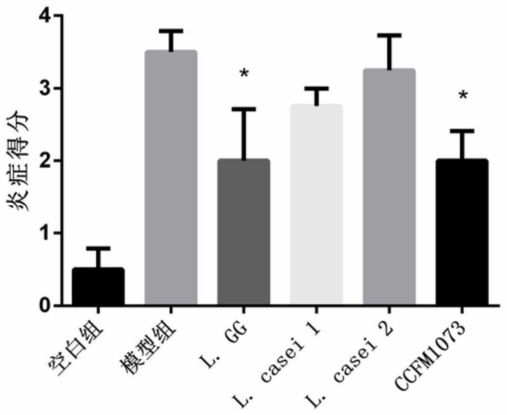 A Lactobacillus casei that can regulate the balance of th2/th1 in allergic asthma and its application