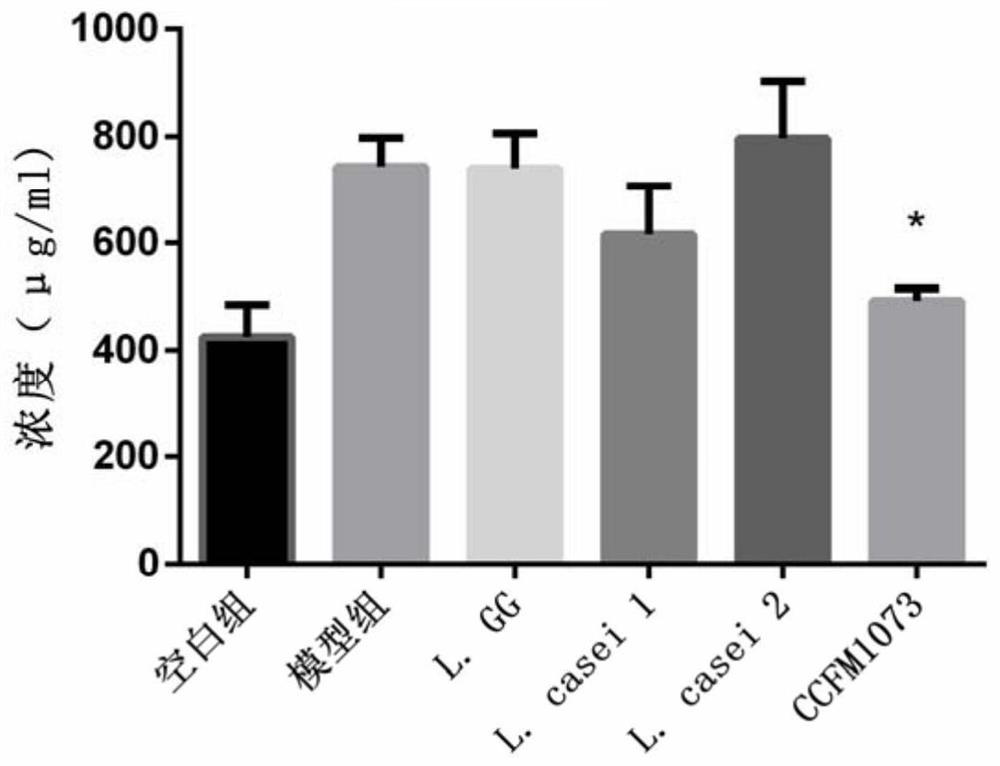 A Lactobacillus casei that can regulate the balance of th2/th1 in allergic asthma and its application