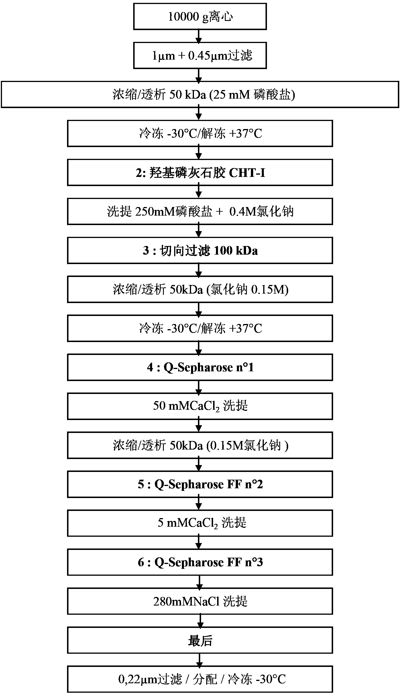 Recombinant or transgenic factor VII compound having a majority of glycan, biantennary, bisialylated and non-fucosylated forms