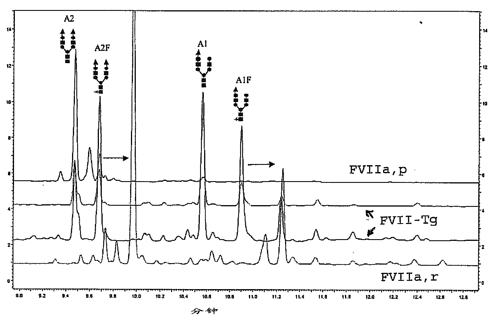 Recombinant or transgenic factor VII compound having a majority of glycan, biantennary, bisialylated and non-fucosylated forms