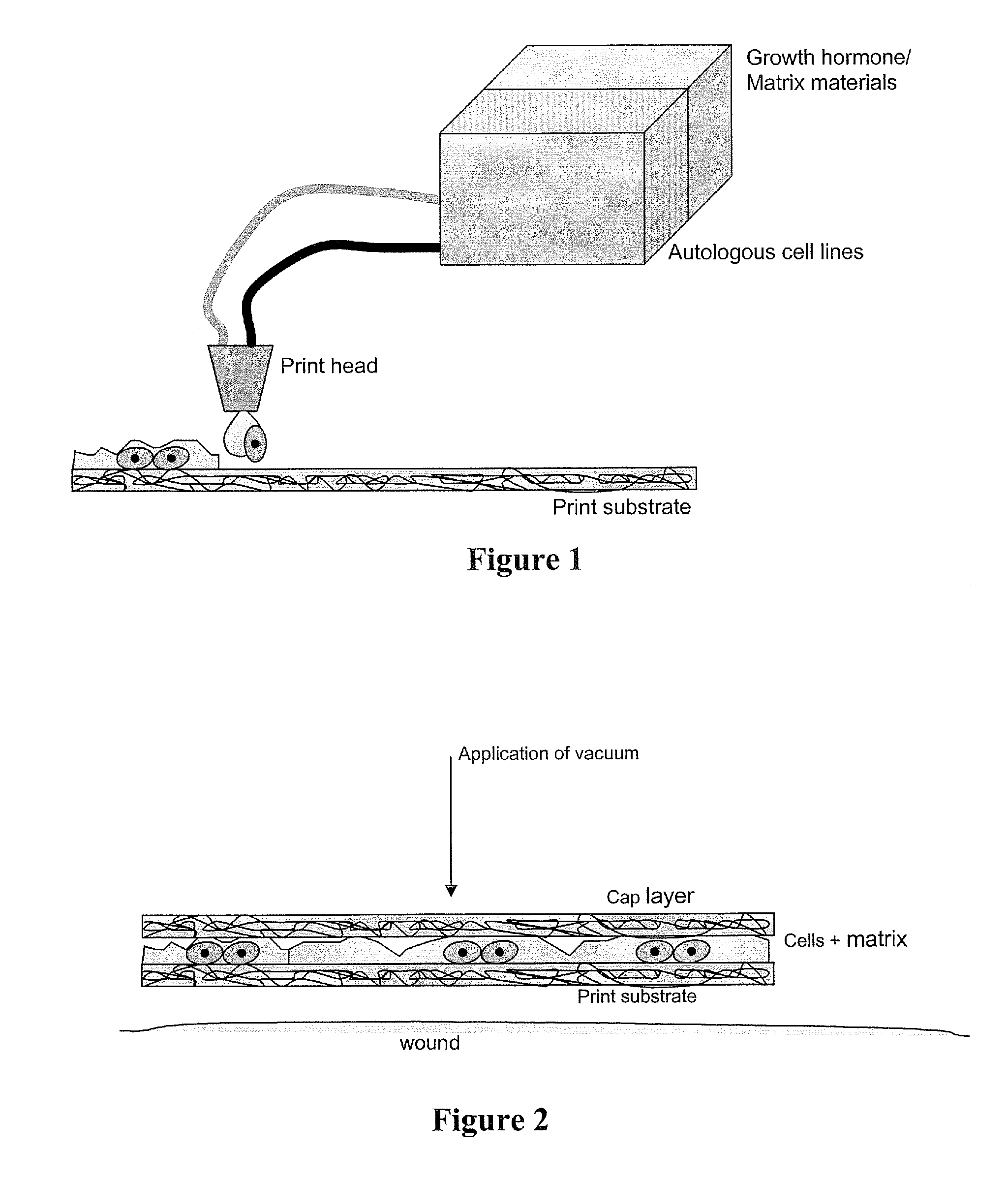 Methods and compositions for printing biologically compatible nanotube composites of autologous tissue