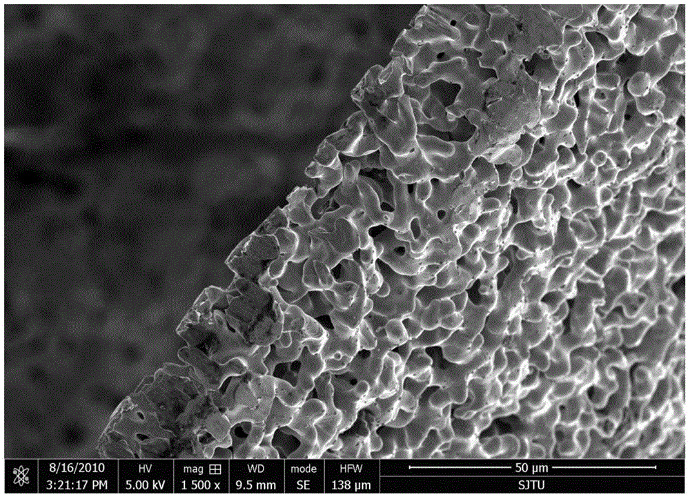 Preparation method of porous nickel flat membrane and porous nickel flat membrane prepared by the method