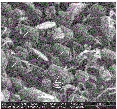 In-situ generated flaky sialon-enhanced alumina-carbon refractory material and preparation method thereof