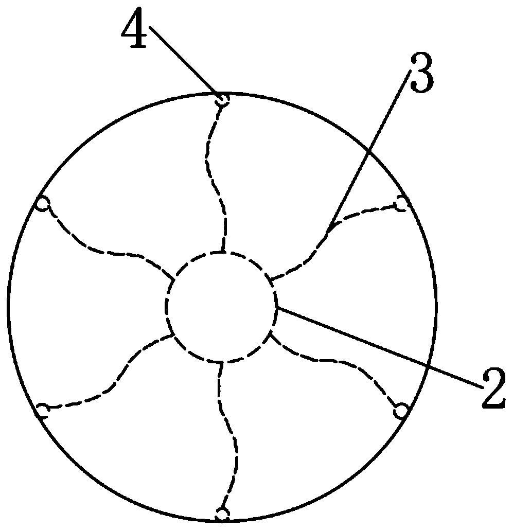 Water pill for treating vertigo and preparation method thereof