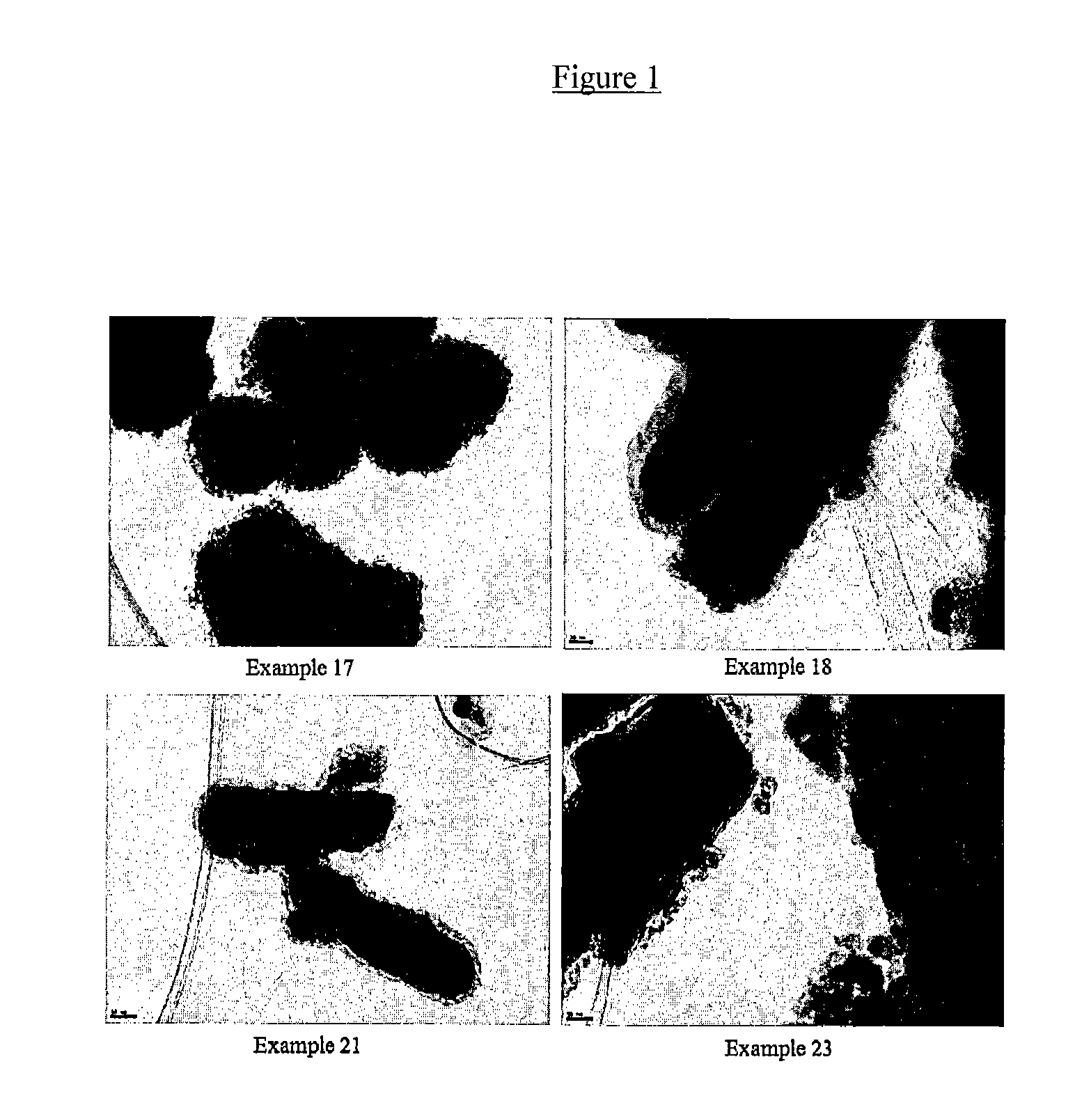Core-shell composite inorganic metal oxides and method of preparing for prevention of thermal oxidative degradation in polymer and resin compositions