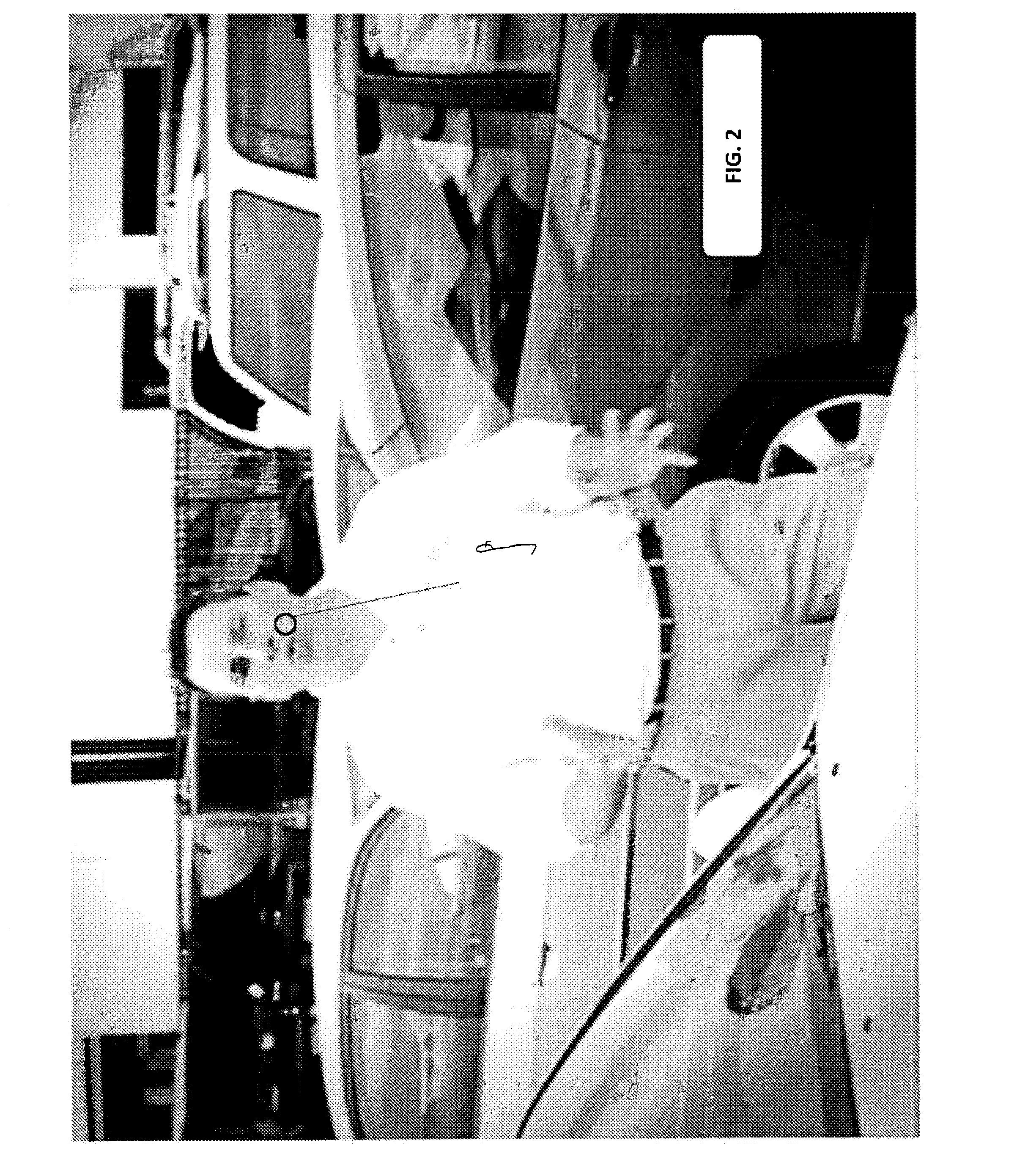 Method and report assessing consumer reaction to a stimulus by matching eye position with facial coding