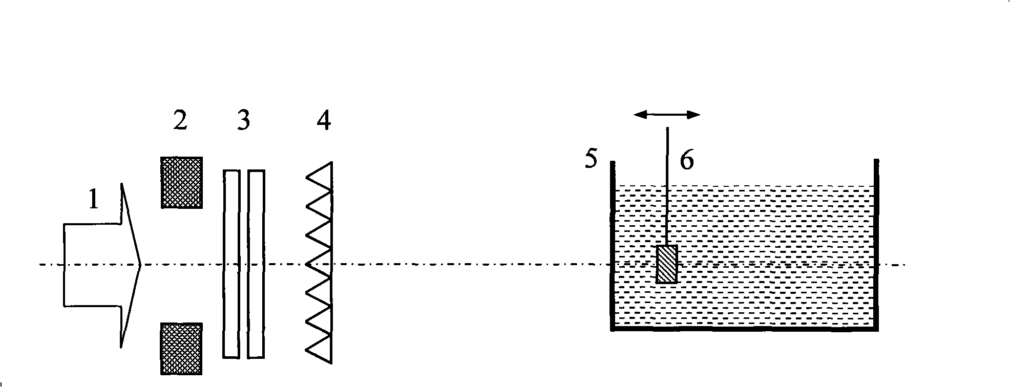 Dose monitoring detector calibration device and method in heavy ion beam treating carcinoma