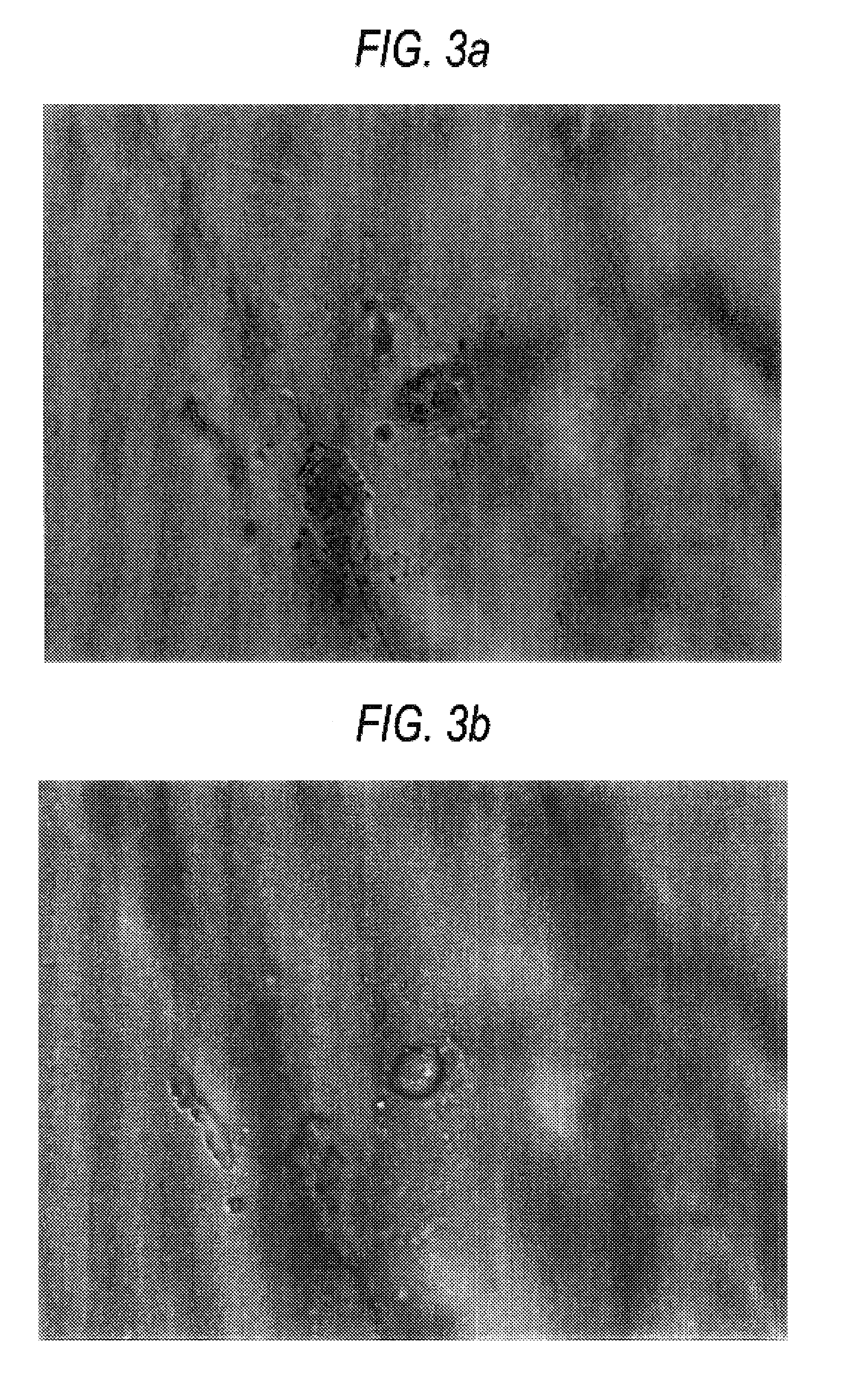 Method for introducing foreign matters into living cells