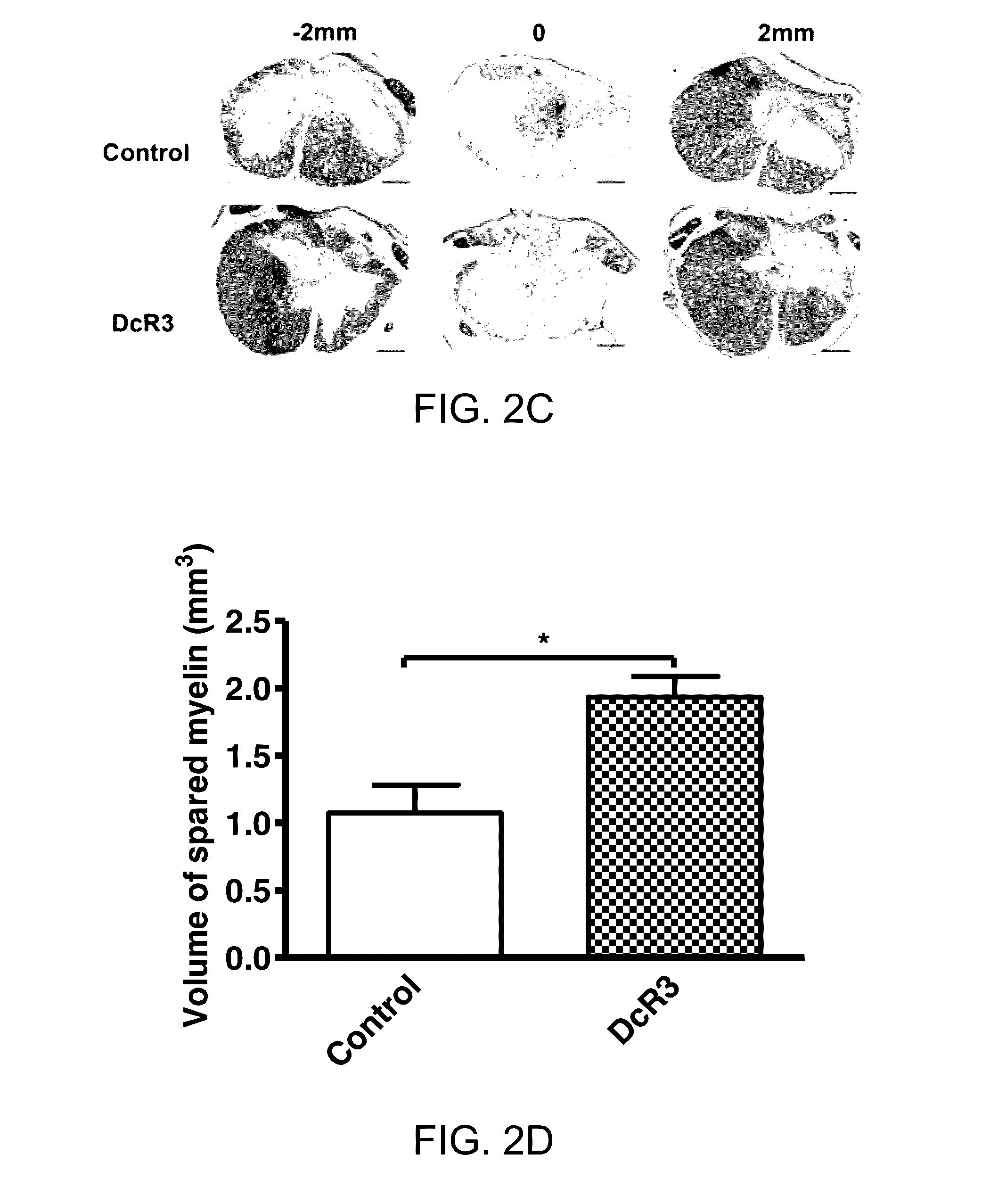 Recombinant decoy receptor 3 for treating spinal cord injury