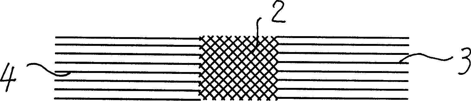 A net special for battery electrode and method for making same and dedicated device