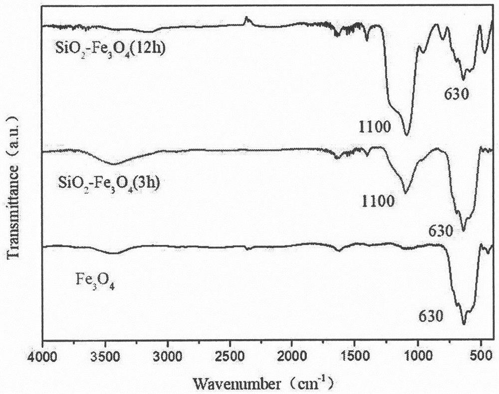 Preparation method and application of ferroferric oxide brain-targeted contrast agent