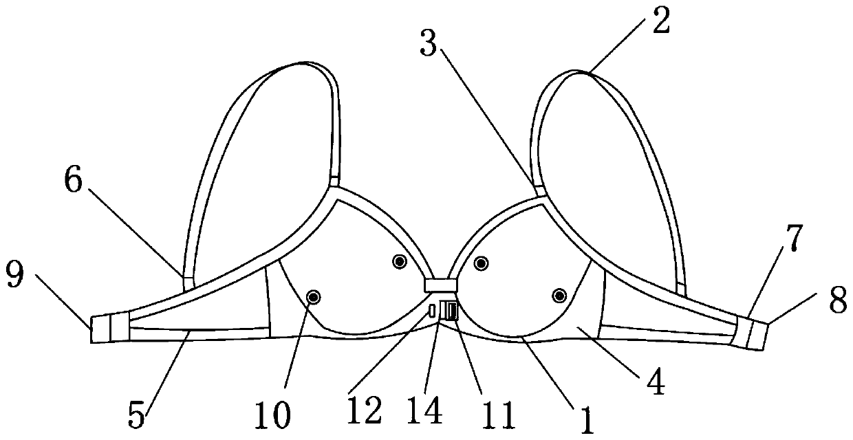 Brassiere for infrared inspection of breast
