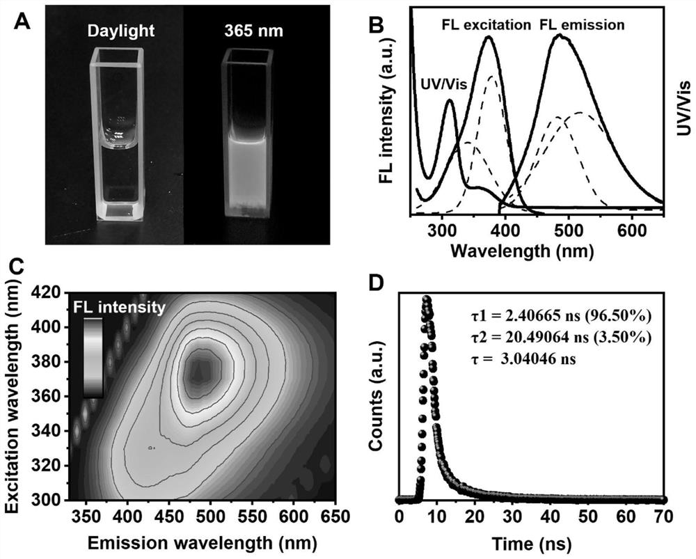 A kind of magnesium nitrogen doped carbon point and its preparation method and the application in improving plant photosynthesis