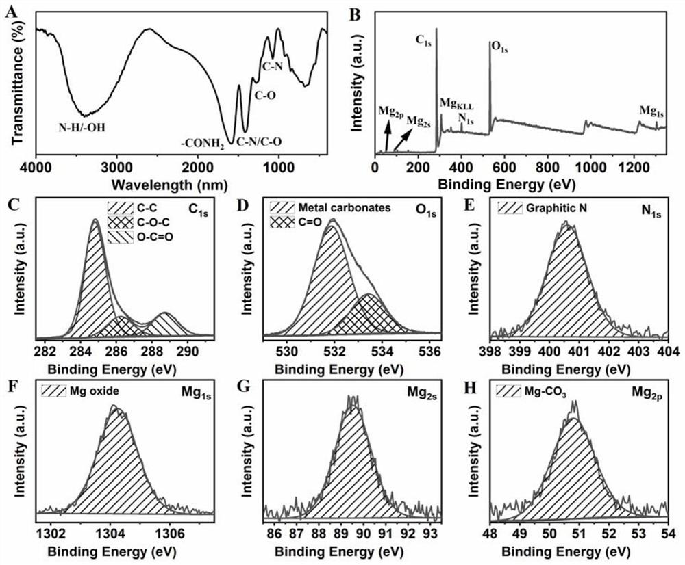 A kind of magnesium nitrogen doped carbon point and its preparation method and the application in improving plant photosynthesis