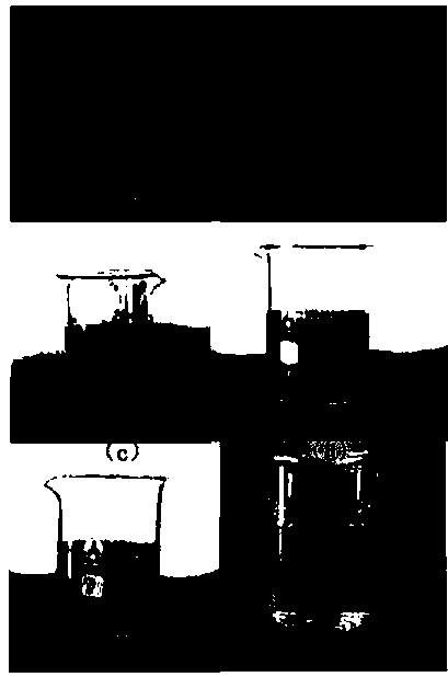 Eu-MOF complex, synthesis method thereof, and application of Eu-MOF complex in adsorption of organic dyes in wastewater