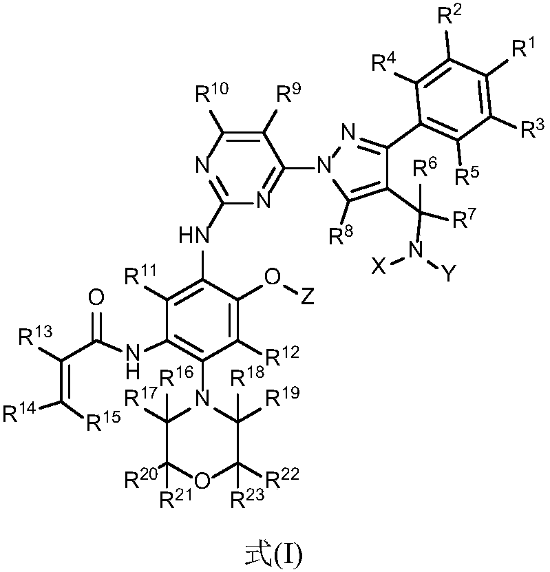 Aminopyrimidine compound, composition containing same and application thereof