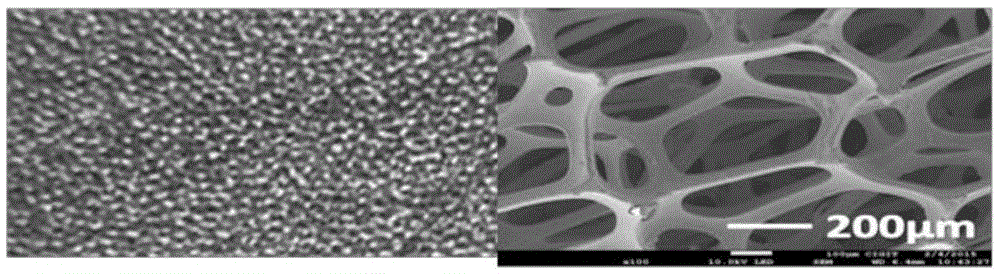 Preparation method of three-dimensional graphene foam composite nano-cadmium sulfide photoelectrochemical electrode