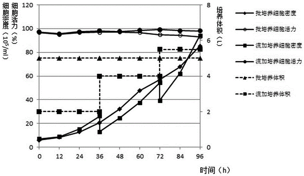 Domestication method of full suspension culture type Marc-145 cell line