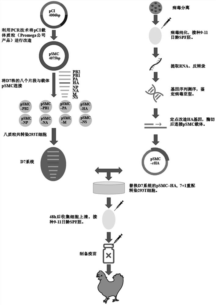 A kind of whole avian source h5n2 subtype avian influenza recombinant virus strain, vaccine and application thereof