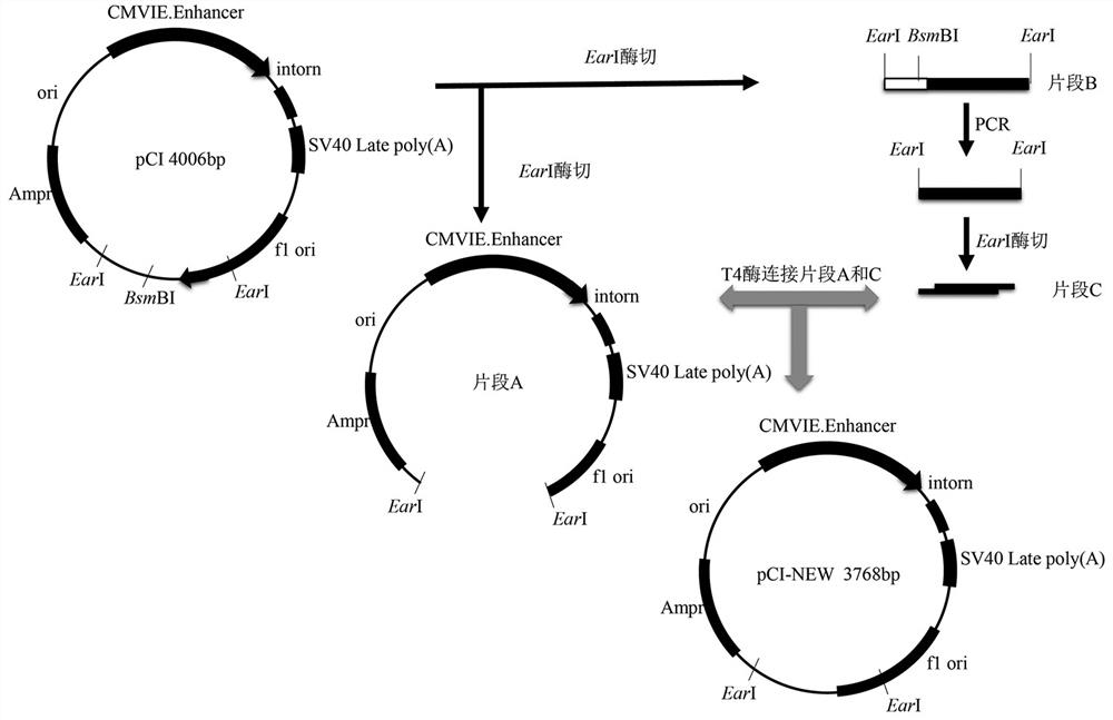 A kind of whole avian source h5n2 subtype avian influenza recombinant virus strain, vaccine and application thereof