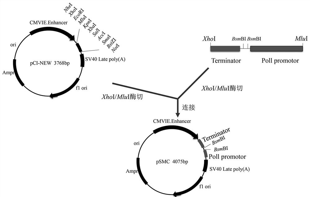 A kind of whole avian source h5n2 subtype avian influenza recombinant virus strain, vaccine and application thereof