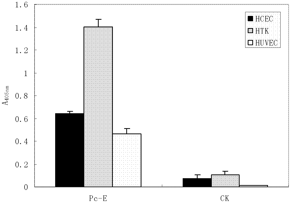 Pc-E polypeptide inhibiting aspergillus fumigatus from adhering to cornea