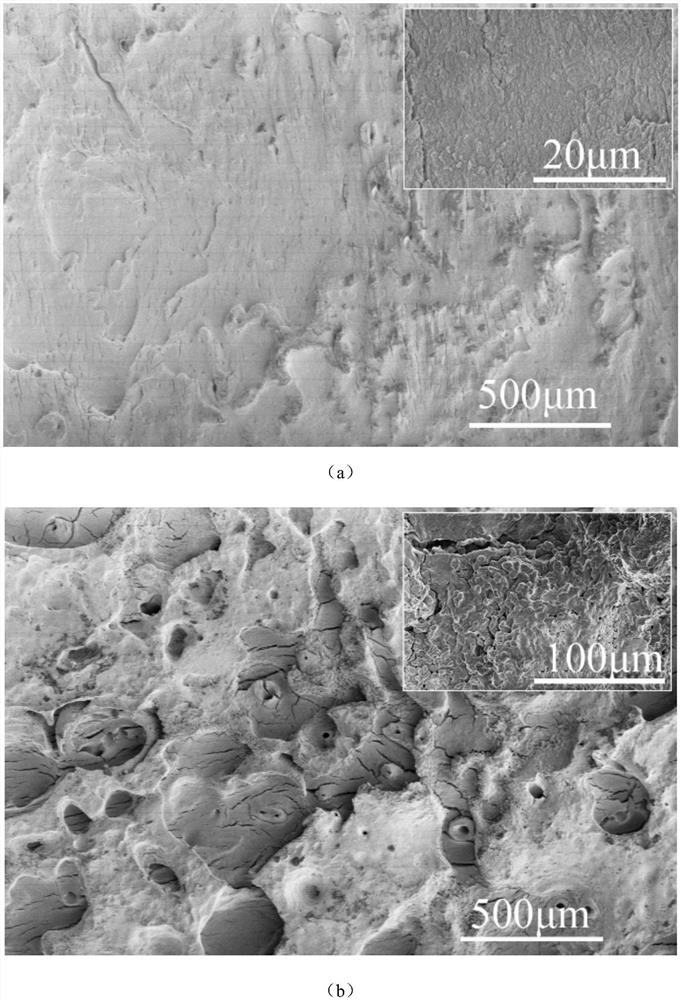A kind of adsorption type bone apatite and its preparation method and application